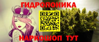 крисы Ливны