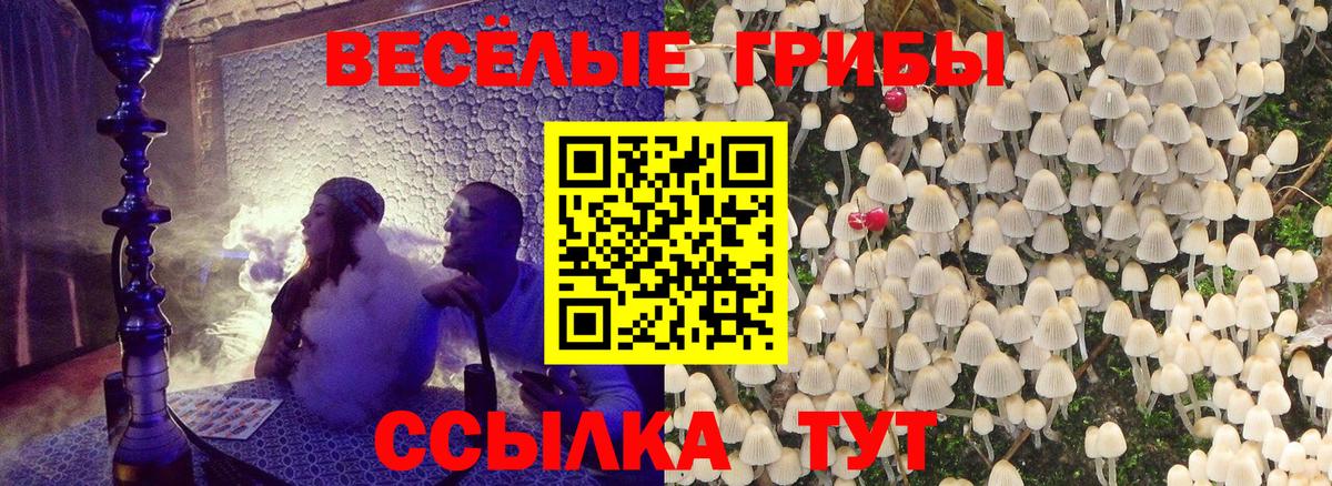 Галлюциногенные грибы мицелий Киселёвск