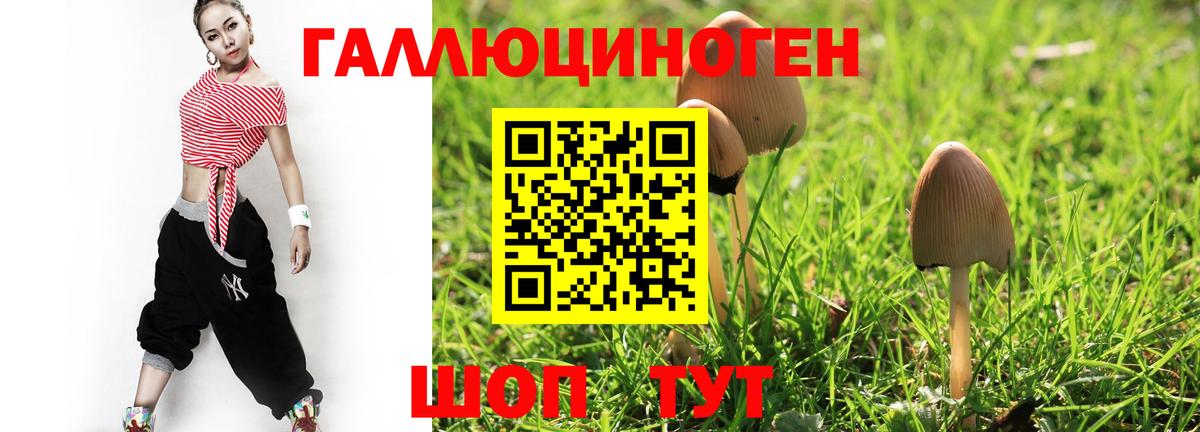 Псилоцибиновые грибы Magic Shrooms  Вход с VPN  Киселёвск  Псилоцибиновые грибы мухоморы 
